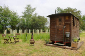The Falgate Shepherd's Hut